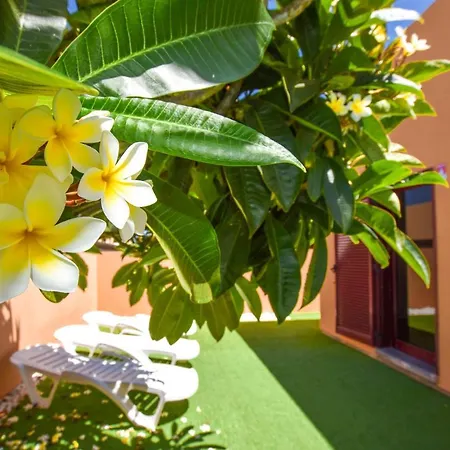 Fuerte Holiday Private Pool Casa&terrazza Villa
